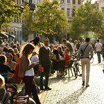 Your Private Brussels Sanctuary