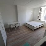 Central Studio For 2
