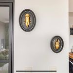 Deluxe Studio La Cambre - With View