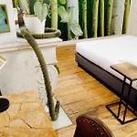 B&B Druum