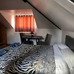 Room Near The Center With Bathroom And Kitchen