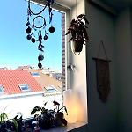Cozy 1 Bedroom Apartment