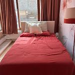 Tastefully-Decorated Bedroom With Garden Access