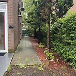 Luxueux Studio Calme Avec Jardin & Terrasse Metro Direct Centre De Bruxelles