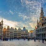Brusselsnest