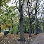Parc Brussels Apartment