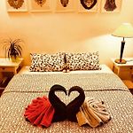 B&B Ambiorix Birch House