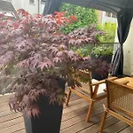 Appartement Moderne Centre De