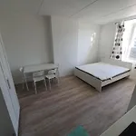 Central Studio For 2