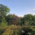 Chez Mimi Plus