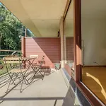 Chaleureux Appartement 1 Chambre Proche Ecole Europeenne