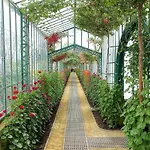 Cozy And Luxurious Apartment In Brussels, Laeken