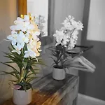 Appartement Cosy Jacqmain