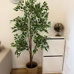 Cozy South-up And Ground Appartement