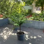 Le Flagey Green Place