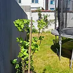 Cosy 2 Bedroom Apartment With Private Garden