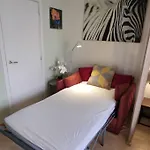Green Cosy Studio
