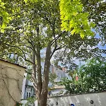 Sejour Atypique En Famille