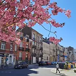Opale Europe