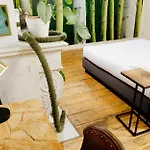 B&B Druum