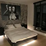 Refined Apartment With Terraces