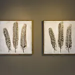 Center Design Residence