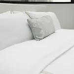 Triplex Penthouse In The Center * Brussels