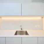 Toison D\'Or & Saunna 2