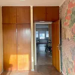 Homestay Cocoon *