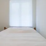 Comfortable And Quiet Appartement