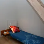 Appartement Comfortable And Quiet Brussel