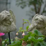 Brussels Guesthouse