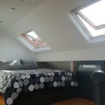 Duplex Zen