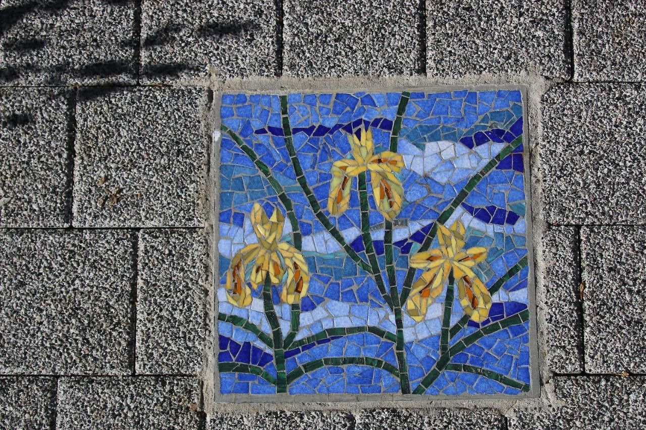Les Iris *