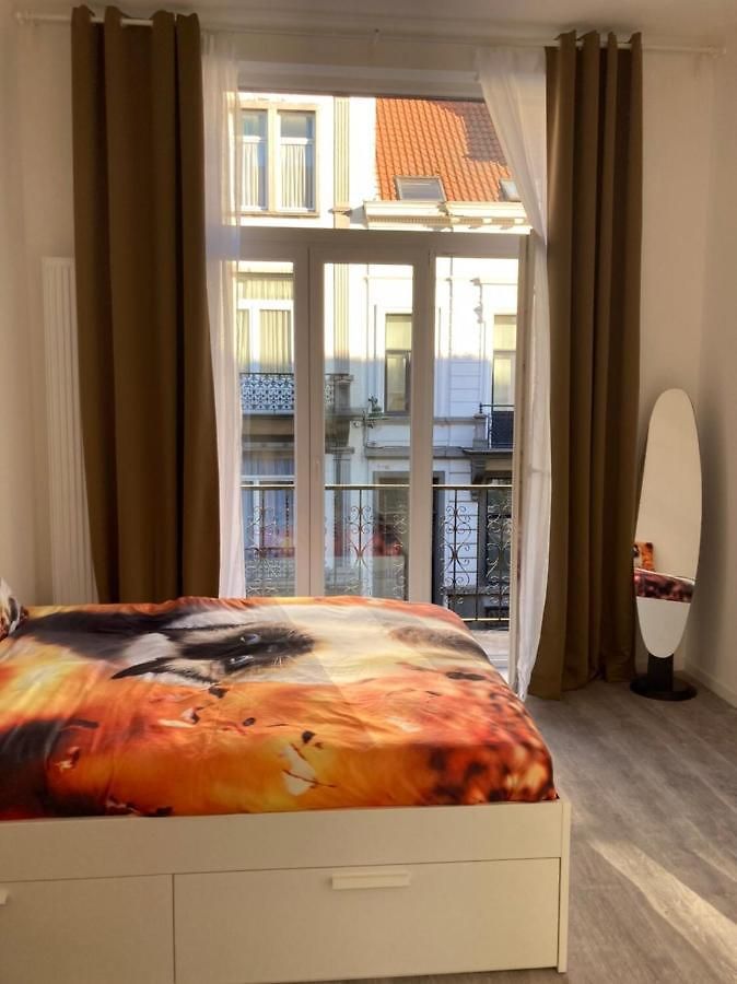 Dreamland Eu, Brussel