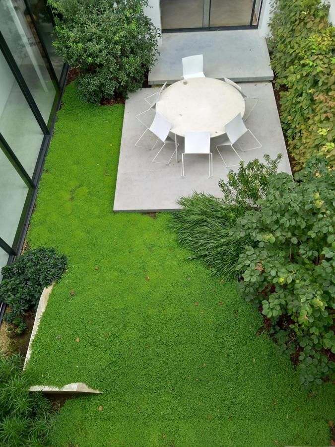 Art Bxl Guest house Brussels