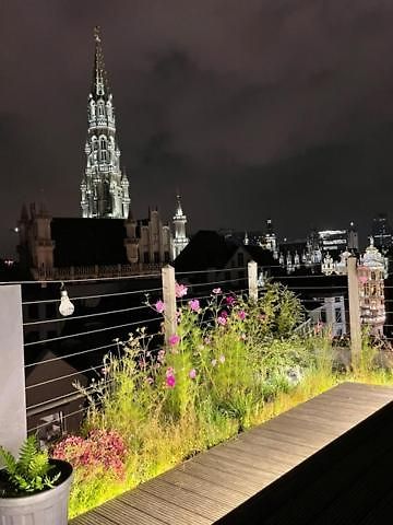 Duplex Dernier Etage Avec Terasse A Deux Pas De La Grand Place *