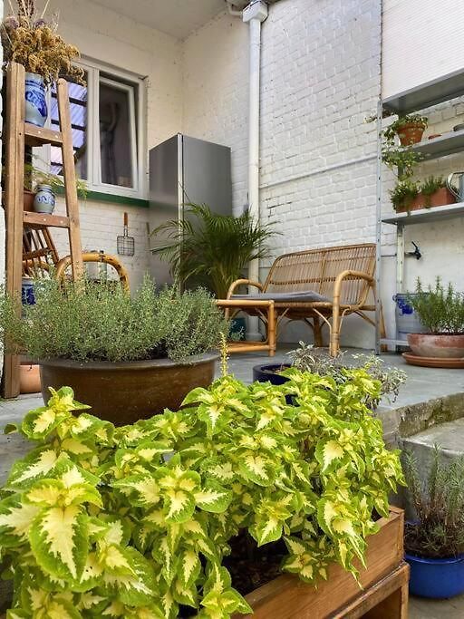 Appartement Superbe Avec Jardin, Sauna Et Jacuzzi