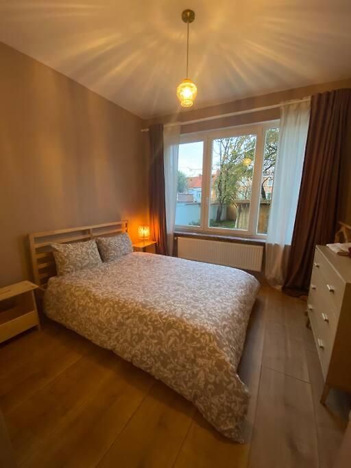 Superbe Avec Jardin, Sauna Et Jacuzzi Appartement Brussel