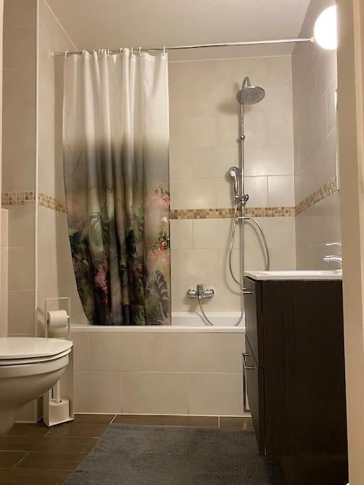 Avenue Louise Appartement