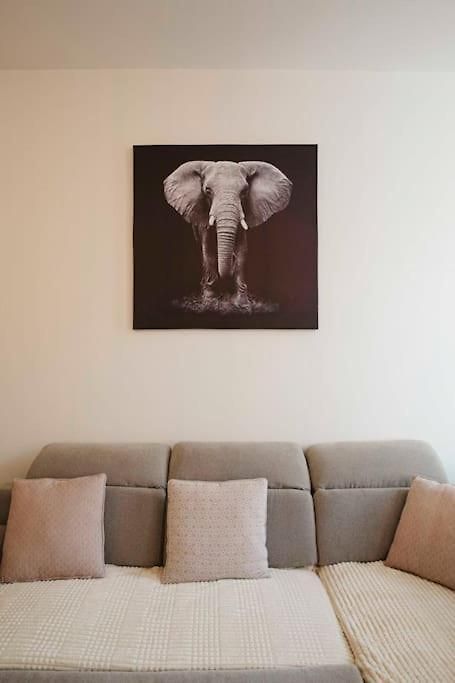 Appartement 1