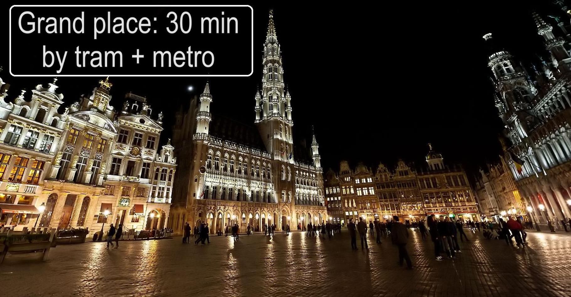 Apartment Furnished - Bright, Modern In Brussels, 15 Minutes Walk From The Atomium Brussels