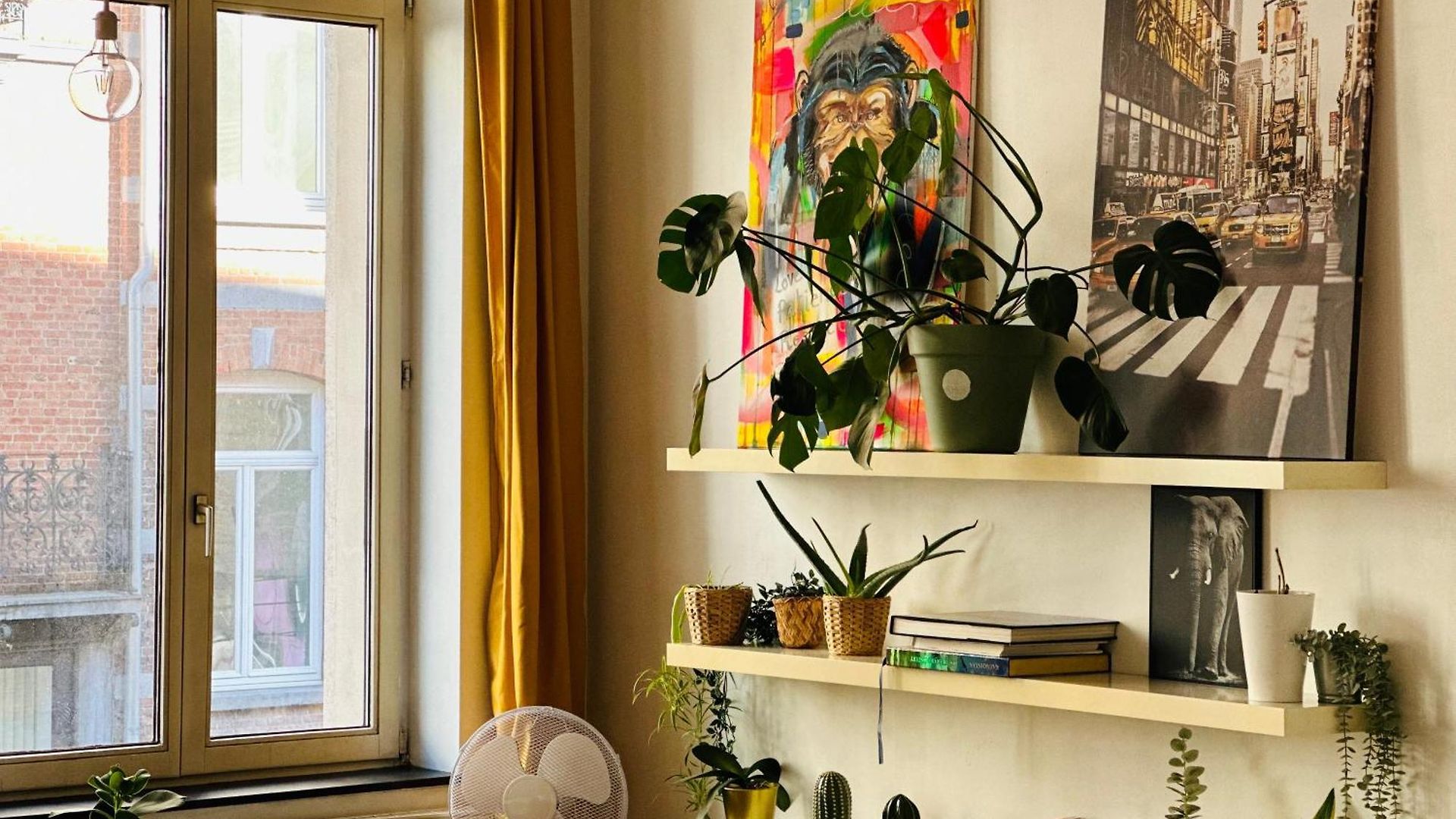 Down-town 1 Bedroom Flat *