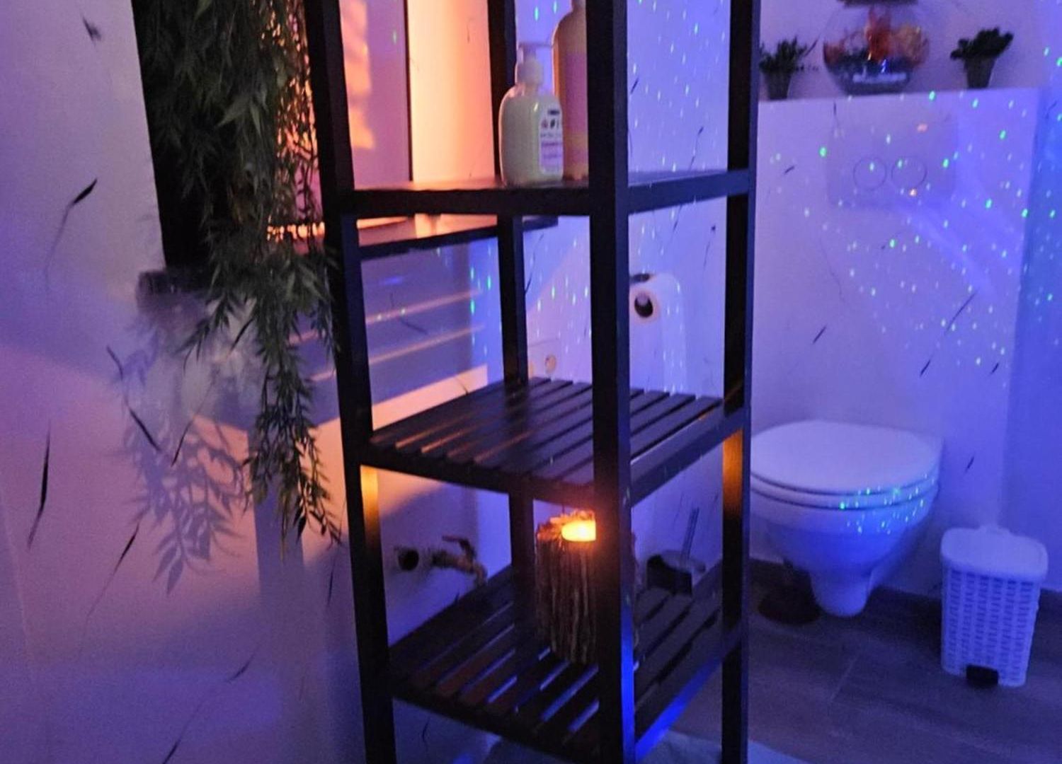 Homestay Zen Palais Exposition *