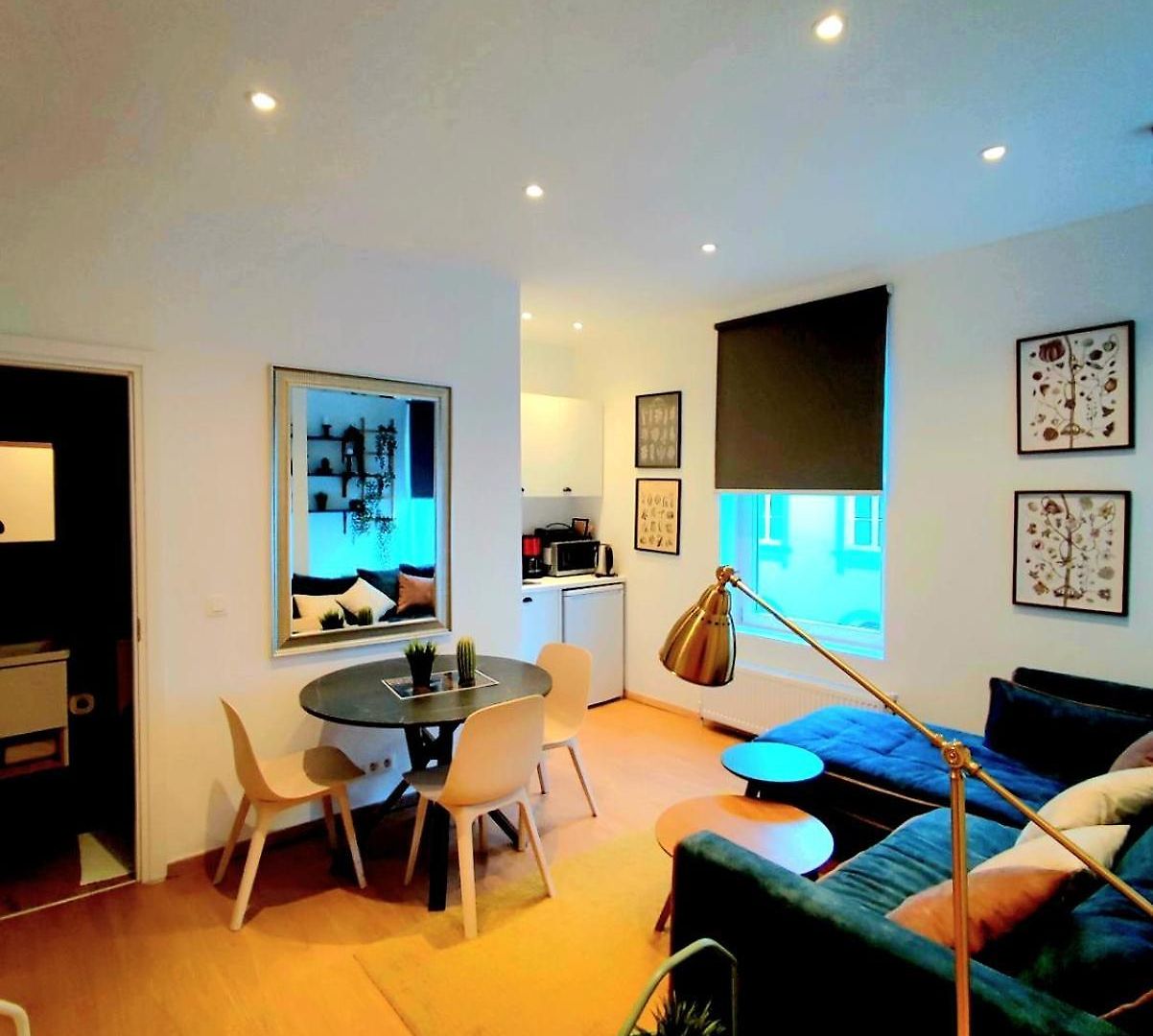 Appartement Quartier Louise *