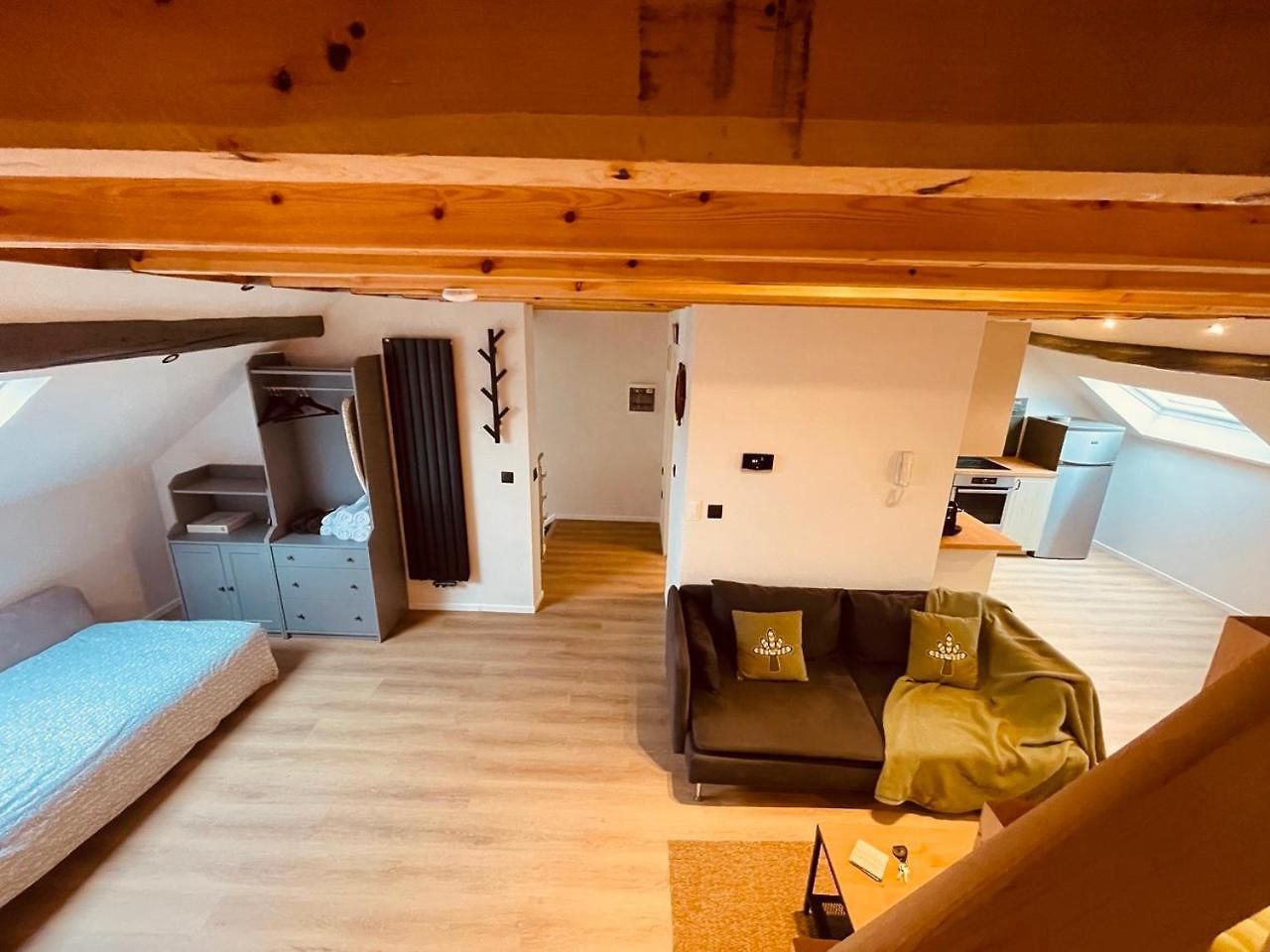 Appartement Camuflats Brussel