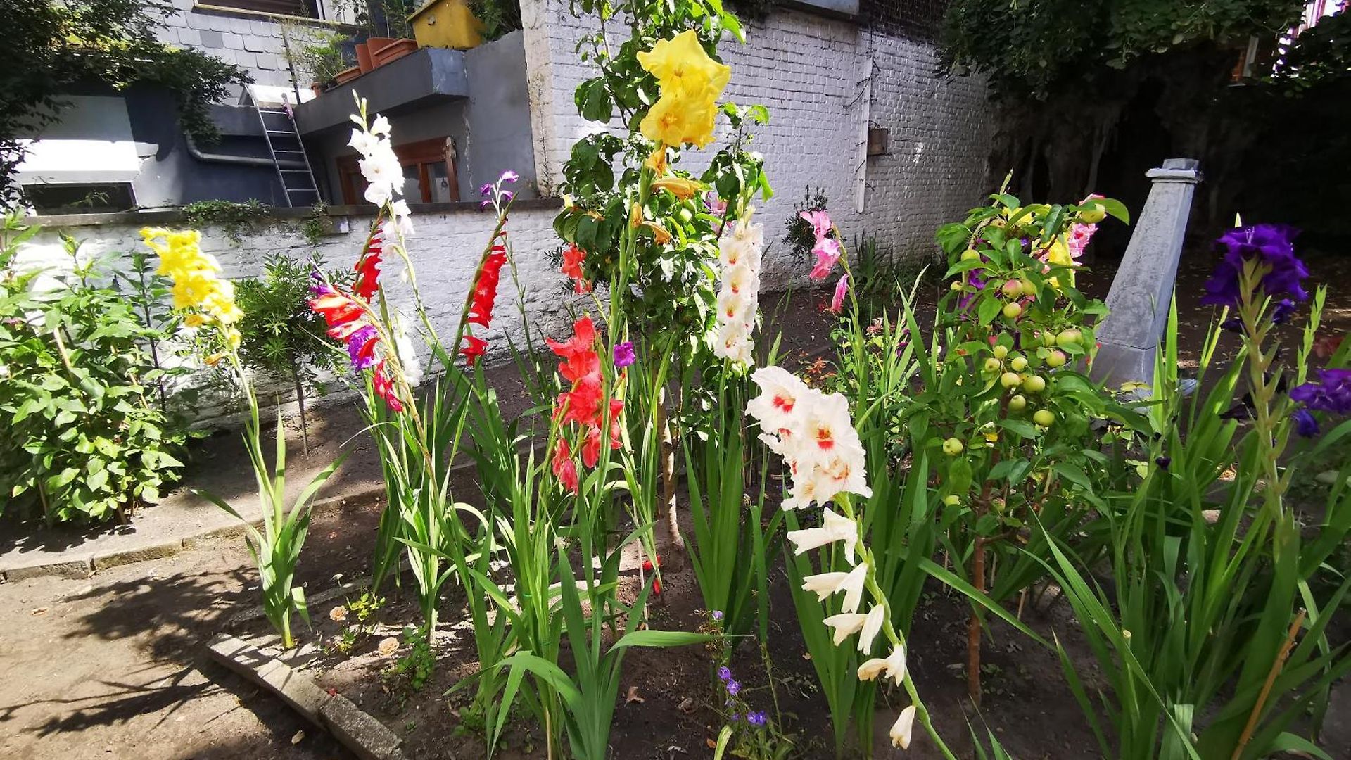 Maison Jamaer Bed & Breakfast Brussels