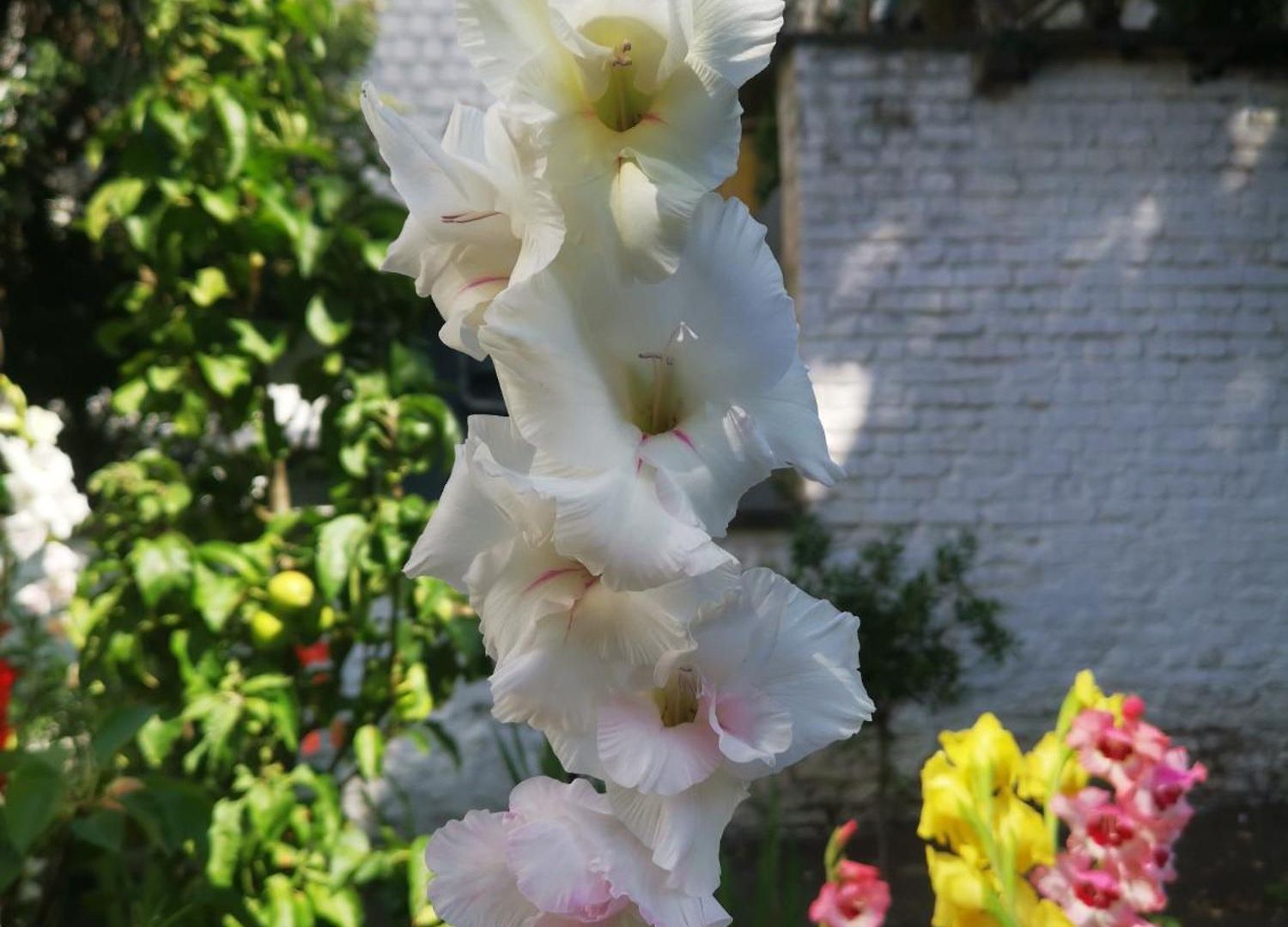 Bed & Breakfast Maison Jamaer Brussels