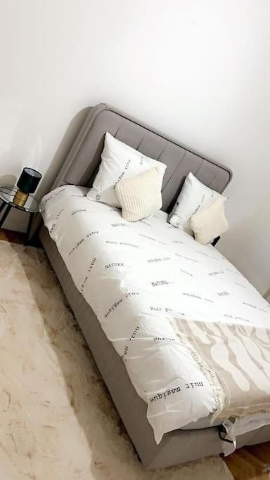 Apartment Centre - Ixelles - Avenue Louise - Chic Brussels