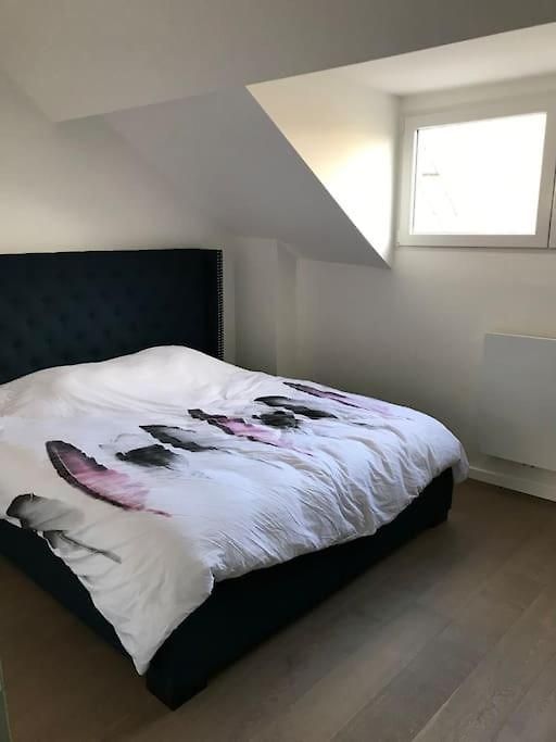 Duplex Avec Terrasse Quartier Europeen